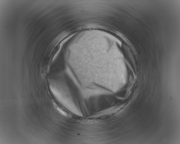 X0000080740801200701121935