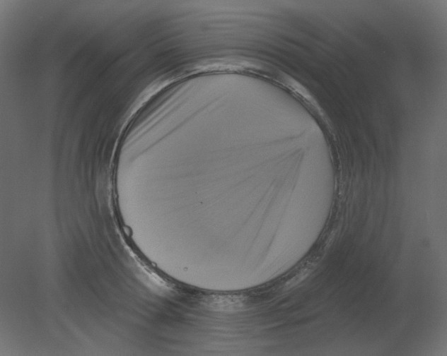 X0000080740802200701121935