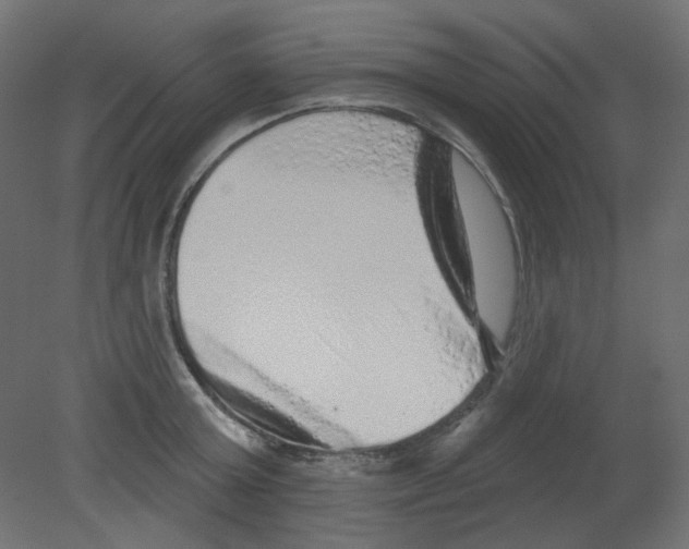 X0000080740803200701121935