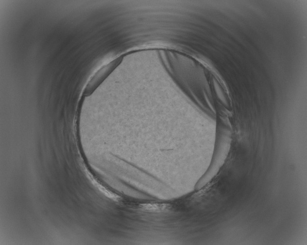 X0000080740805200701121935