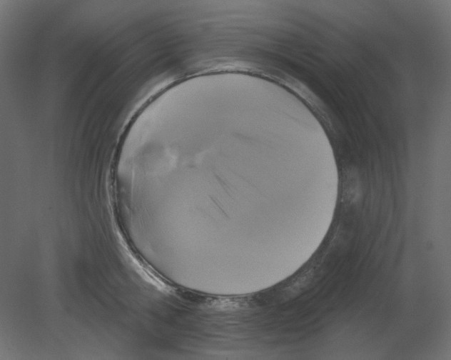 X0000080740806200701121935