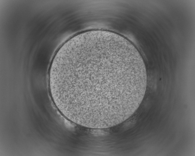 X0000080740807200701121935