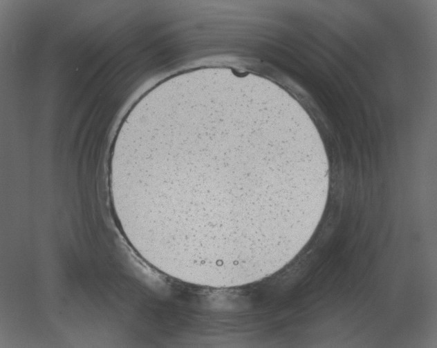 X0000080740808200701121935