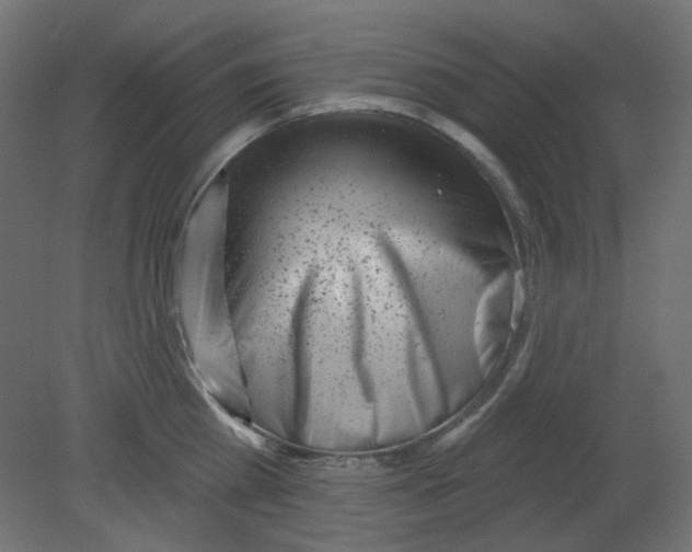 X0000080740809200701121935