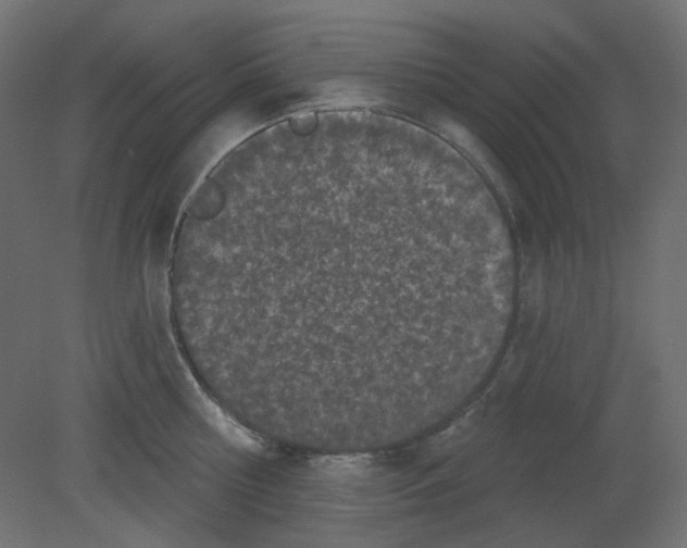 X0000080740810200701121935