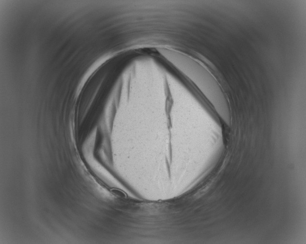 X0000080740812200701121935