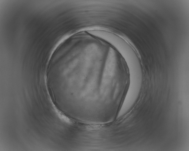 X0000080740813200701121935