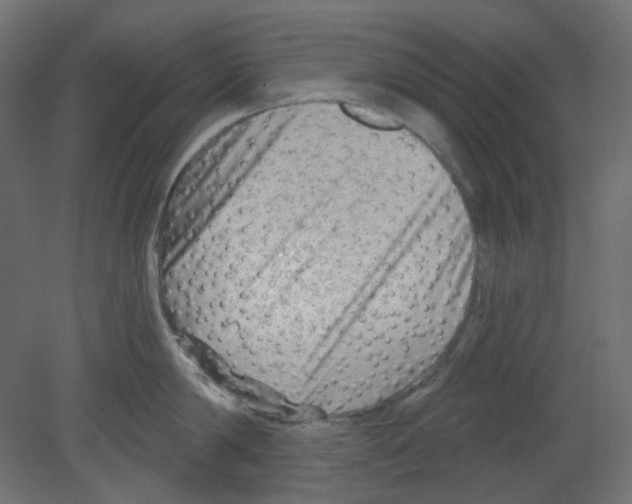 X0000080740814200701121935