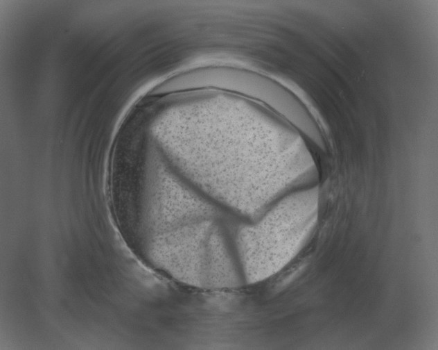 X0000080740815200701121935