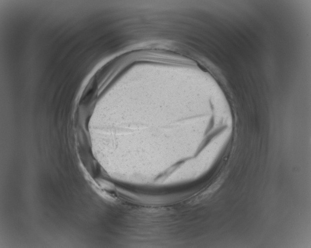 X0000080740816200701121935