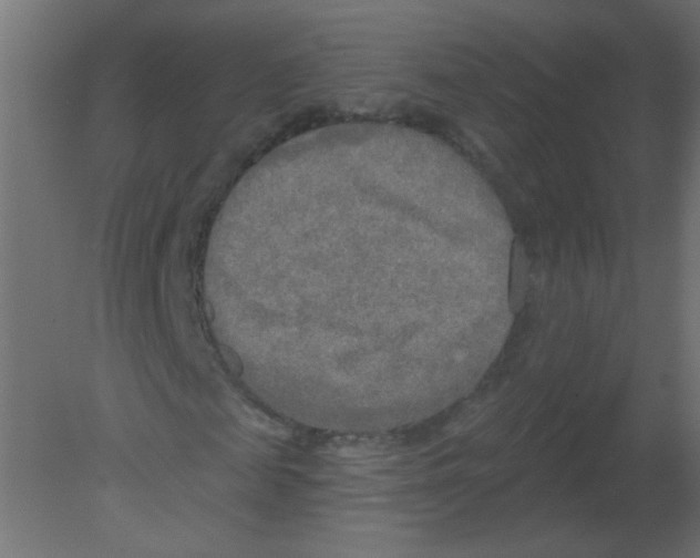 X0000080740817200701121934