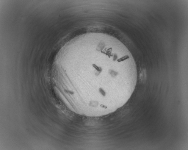 X0000080740819200701121934