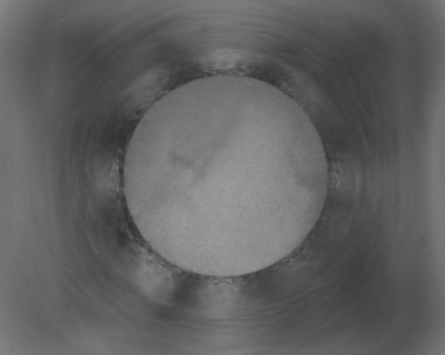 X0000080740820200701121934