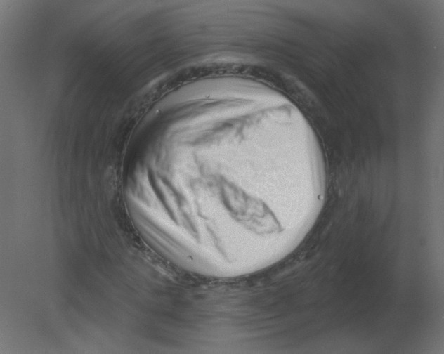 X0000080740821200701121934