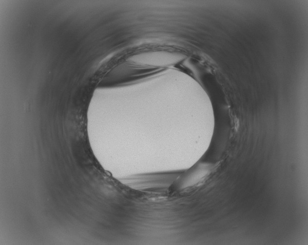 X0000080740822200701121934