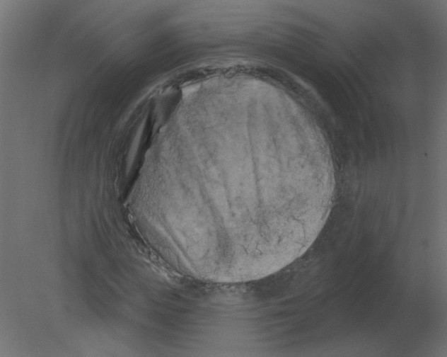 X0000080740823200701121934