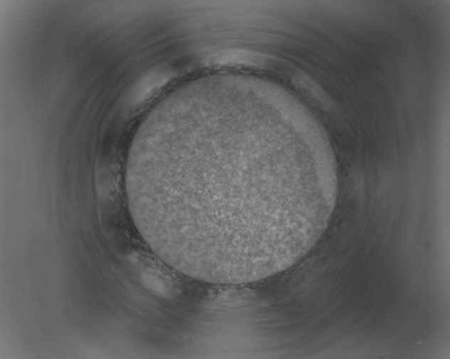 X0000080740824200701121934