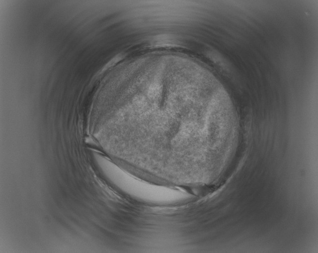 X0000080740825200701121934