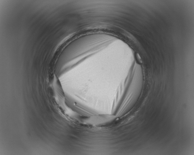 X0000080740826200701121934