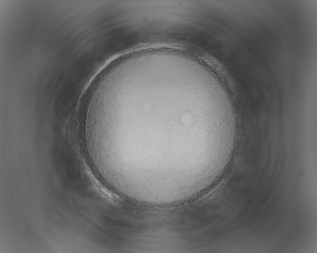 X0000080740828200701121934