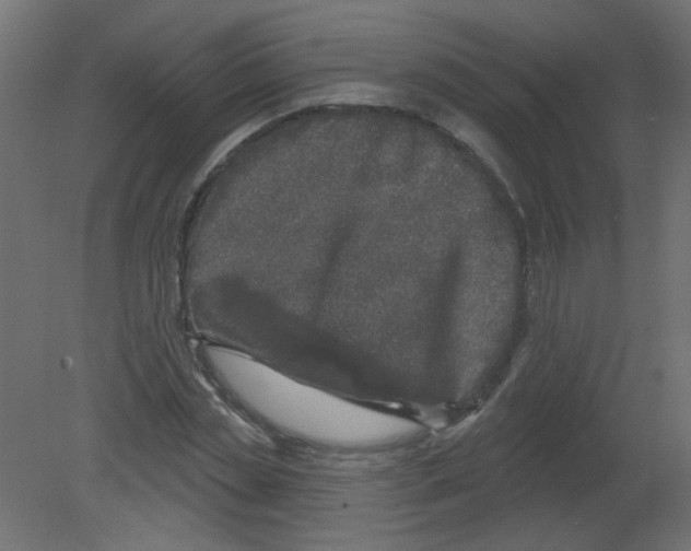 X0000080740829200701121934