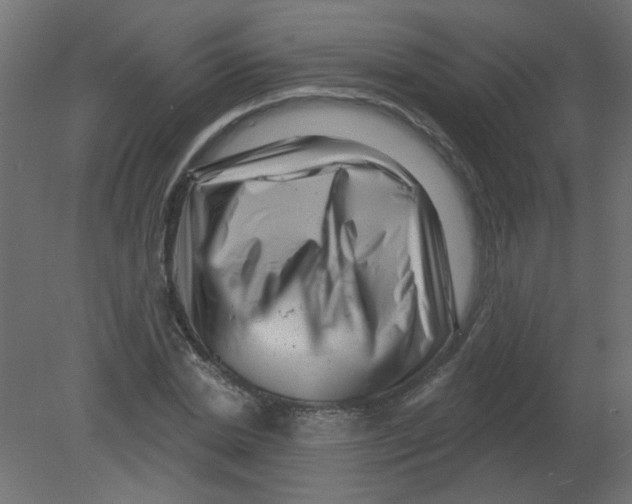 X0000080740830200701121934