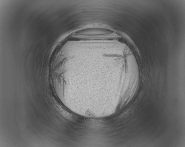 X0000080740831200701121934