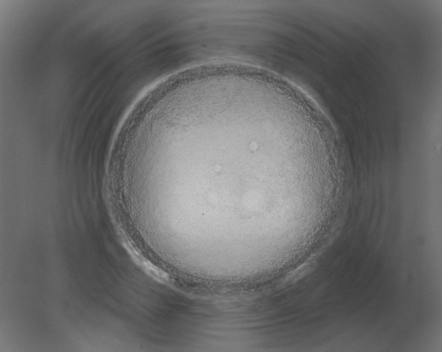 X0000080740832200701121934