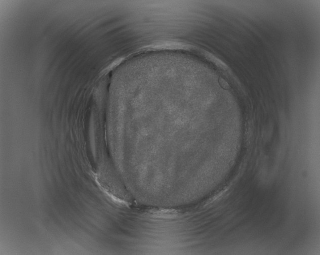 X0000080740833200701121934