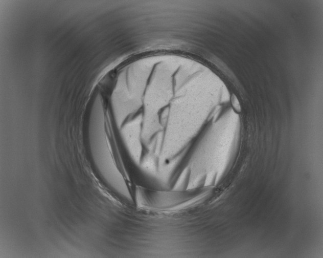 X0000080740834200701121934