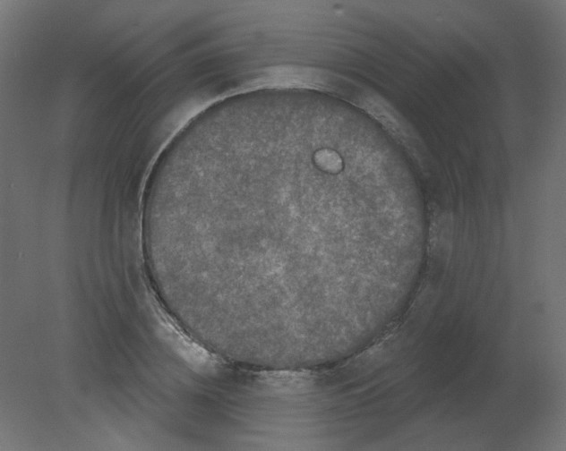 X0000080740836200701121934