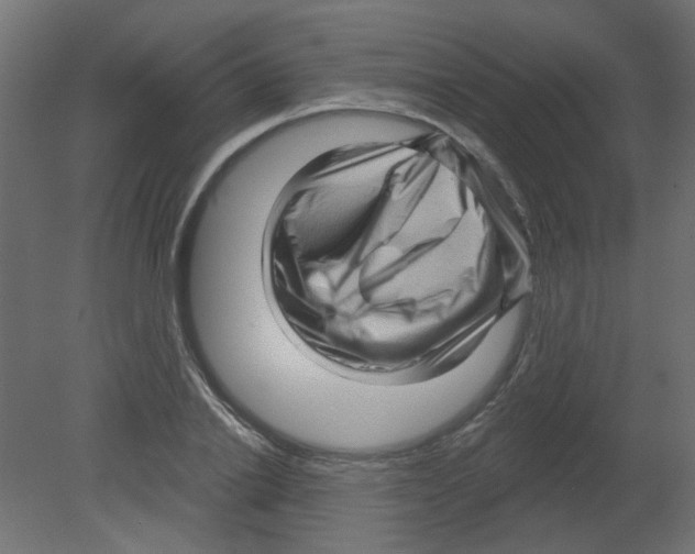 X0000080740838200701121934