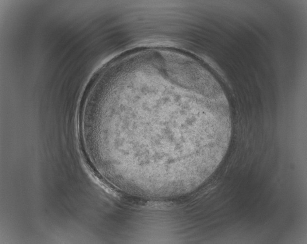 X0000080740840200701121934