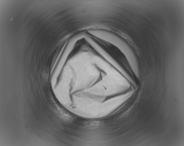 X0000080740841200701121934