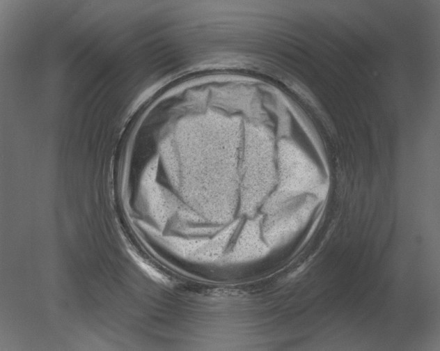 X0000080740842200701121934