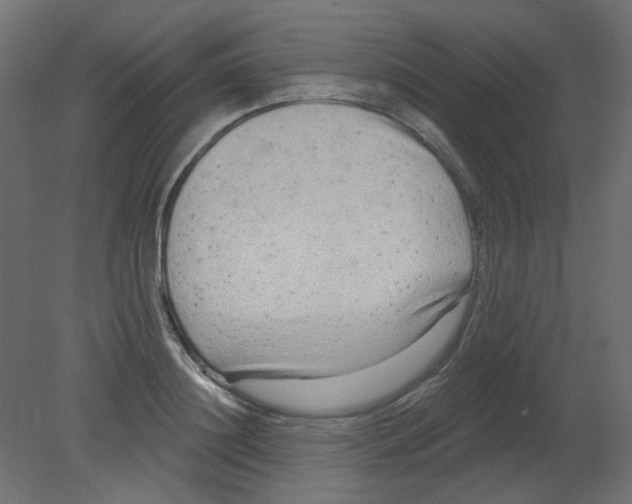 X0000080740844200701121935