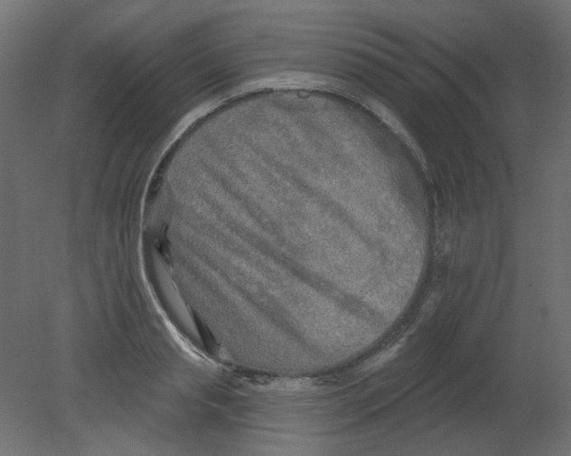 X0000080740845200701121935