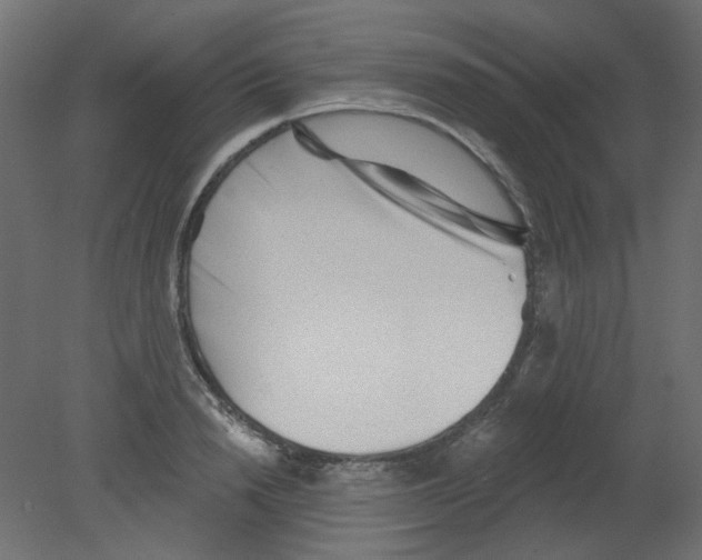 X0000080740846200701121935