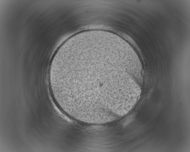 X0000080740847200701121935