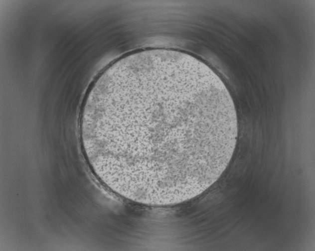 X0000080740848200701121935