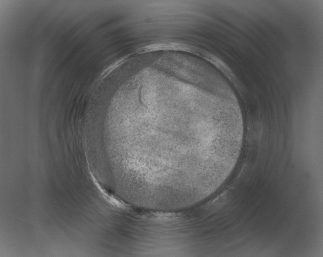 X0000080740849200701121935