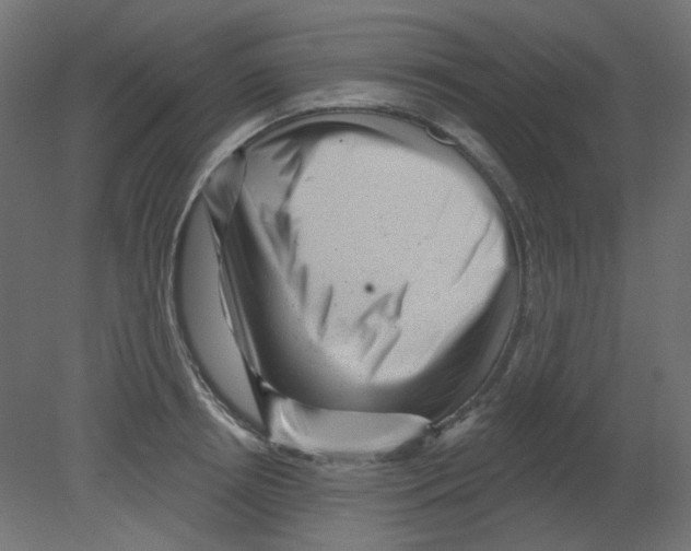 X0000080740850200701121935