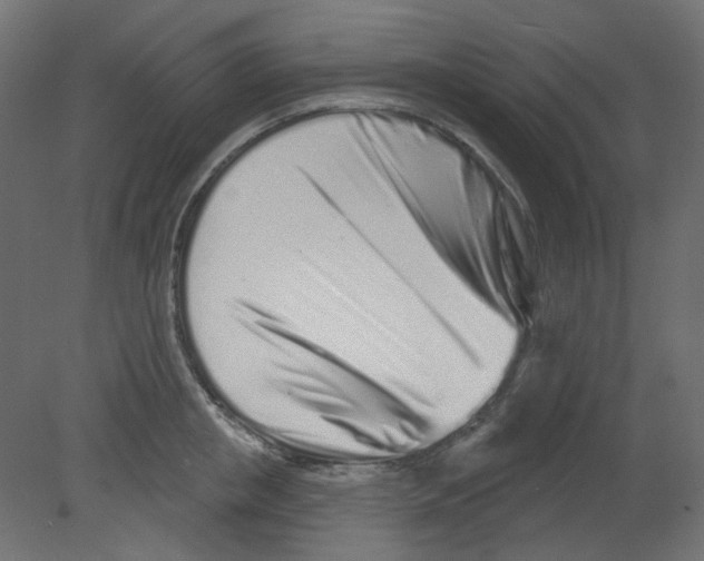 X0000080740853200701121935