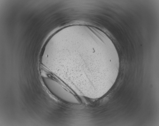 X0000080740854200701121935