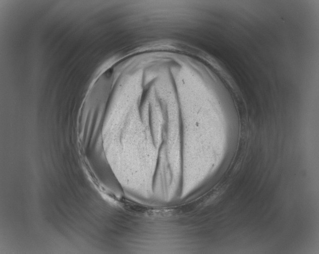 X0000080740858200701121935