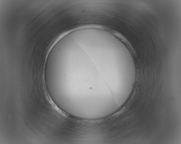 X0000080740860200701121935