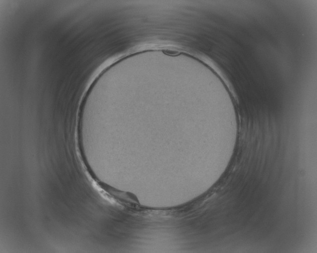 X0000080740861200701121935