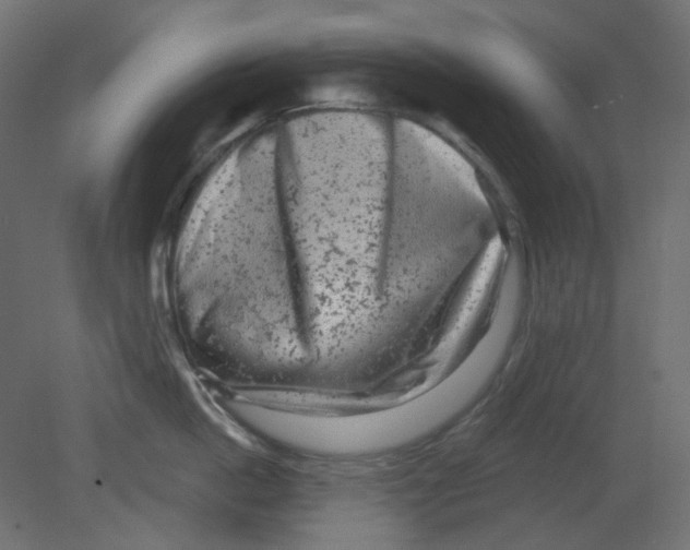 X0000080740862200701121935