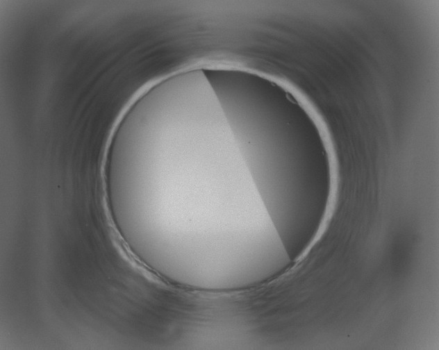 X0000080740864200701121935