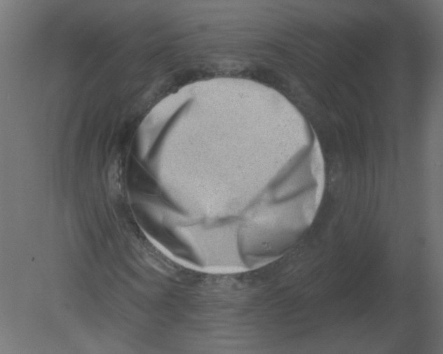 X0000080740866200701121934